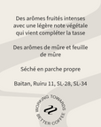 Profil aromatique du café Karindundu Factory Tribute : fruits intenses, mûre et feuille de mûre, SL28, SL34, Ruiru 11 et Batian
