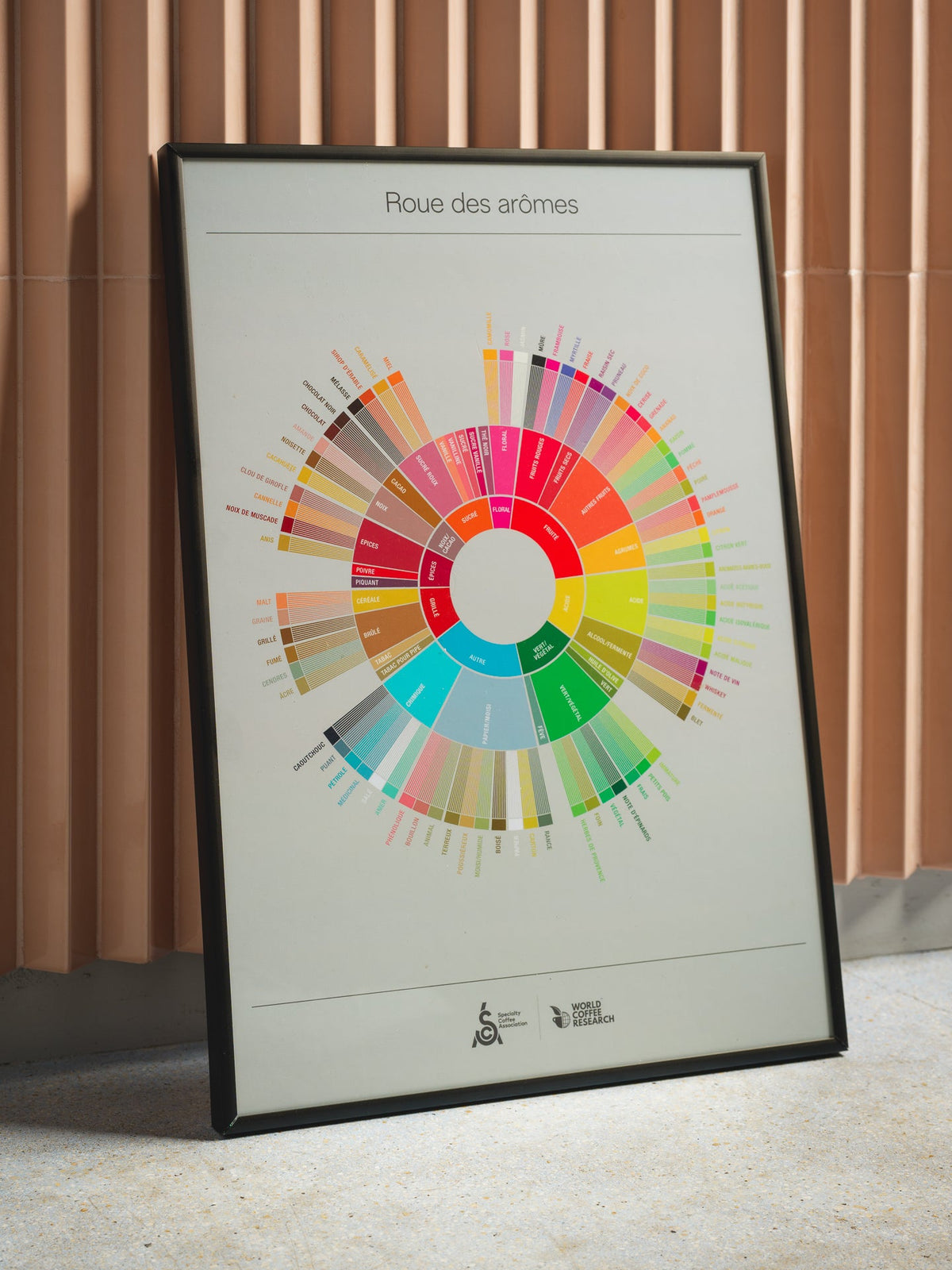 La roue des arômes du café : mode d'emploi