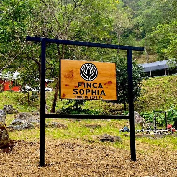 Finca_Sofia_-_Degustation_inedite_cafes_de_specialite