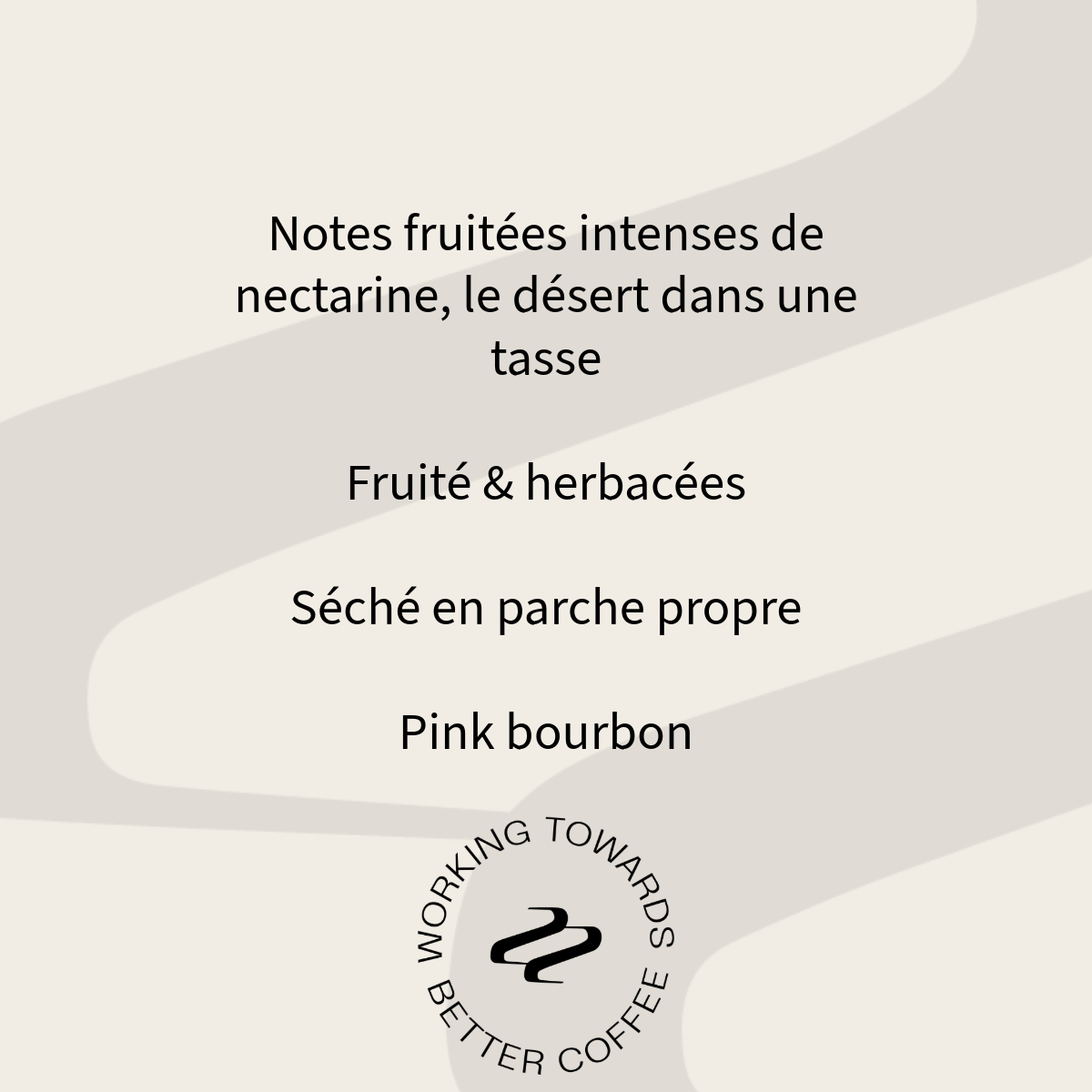 Profil aromatique du café Bolney & Adele Reinoso Tribute : notes de nectarine, fruité et herbacé, Pink Bourbon séché en parche propre