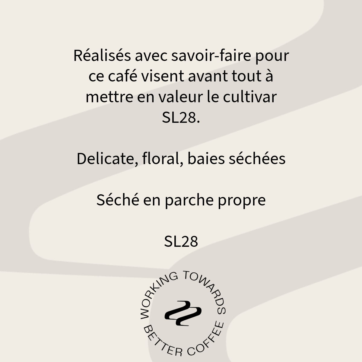 Profil aromatique du café Caballero SL28 Tribute : délicat, floral, baies séchées, séché en parche propre