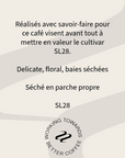 Profil aromatique du café Caballero SL28 Tribute : délicat, floral, baies séchées, séché en parche propre