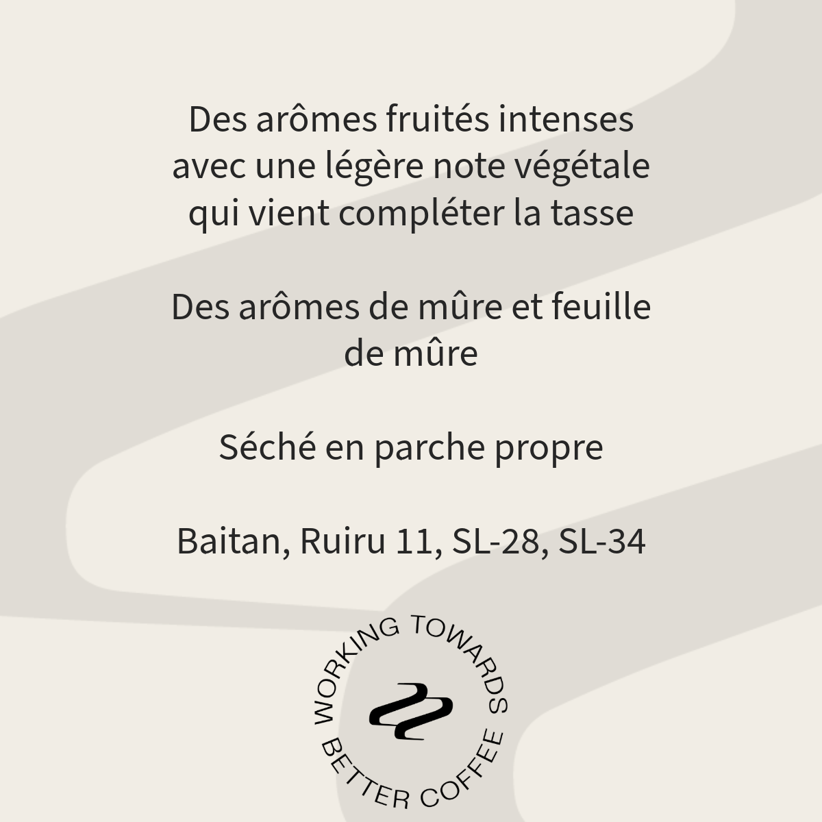 Profil aromatique du café Karindundu Factory Tribute : fruits intenses, mûre et feuille de mûre, SL28, SL34, Ruiru 11 et Batian